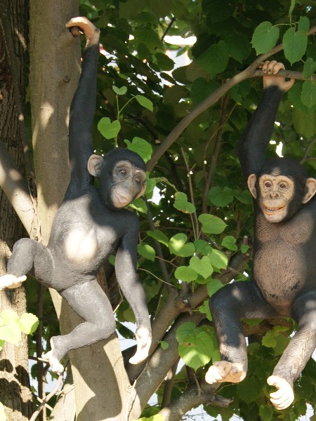 Protège ceinture de sécurité singe Jungle - Fait main avec ♥︎
