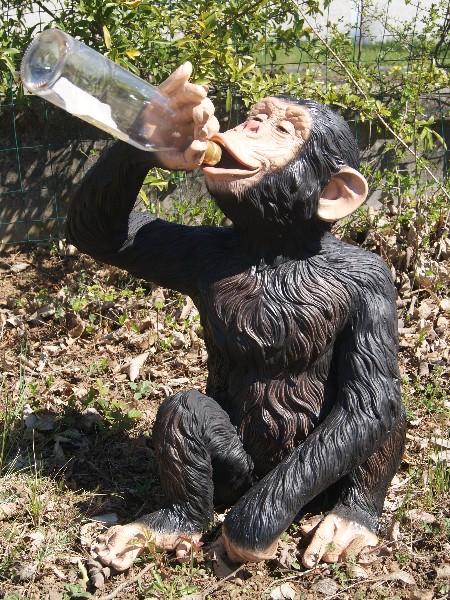 singe qui boit déco bar