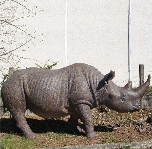 statue Rhinocéros echelle 1