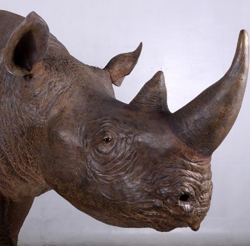 authentique rhinocéros adulte en résine taille 3m15
