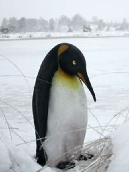 Pingouin Statues Banquise Polaire Pingouin Statues Banquise Polaire