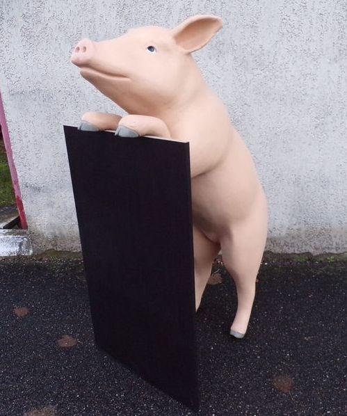 Cochon taille réelle vente et location événementiel